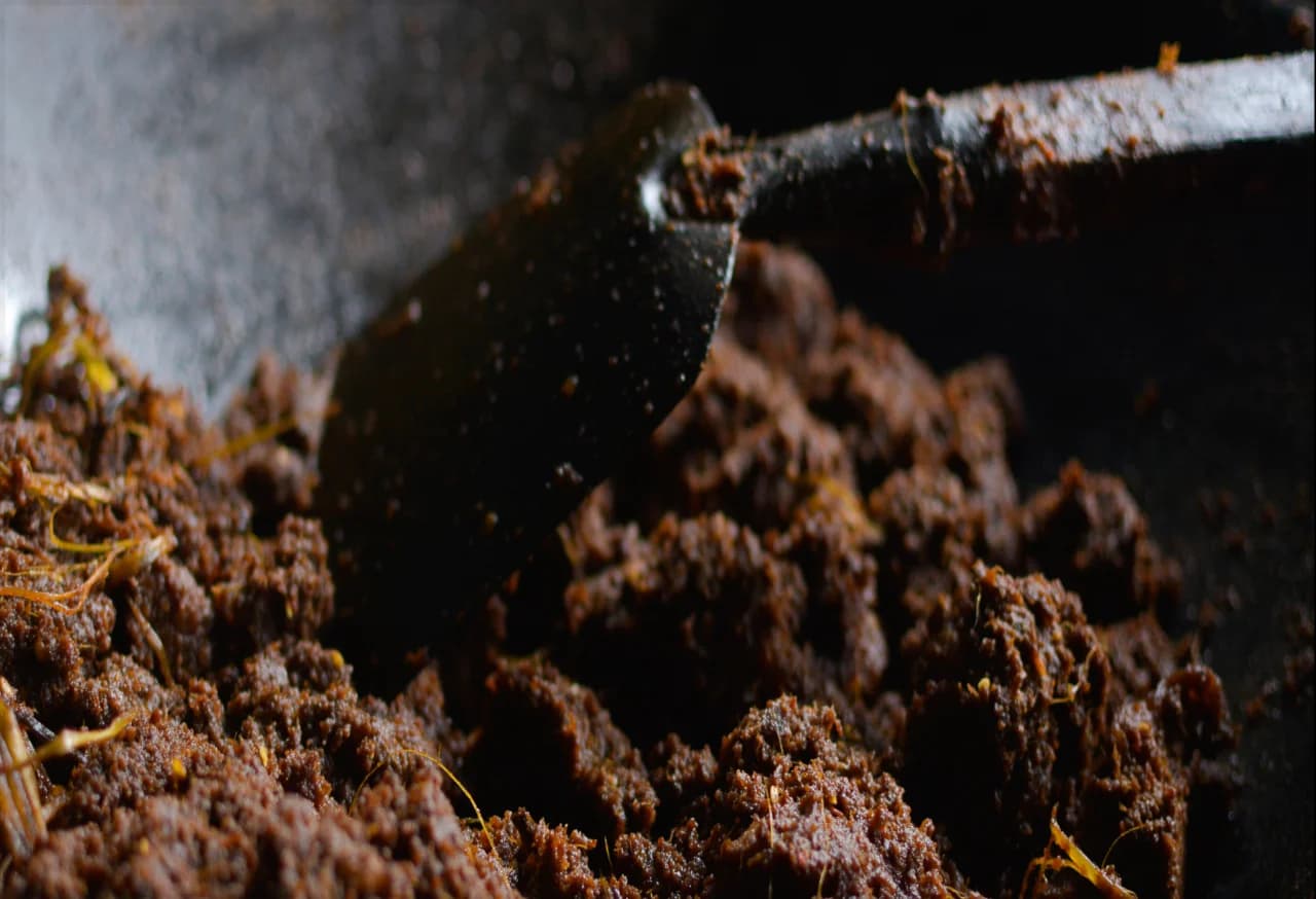 Rendang Kemasan